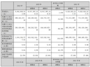 业绩增长！2023年兔宝宝营收90.63亿元！