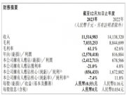 红星美凯龙2023年收入115.2亿元，持有货币资金25.3亿元