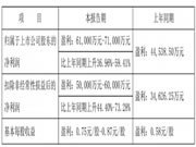 兔宝宝预计2023年净利润同比增长超三成