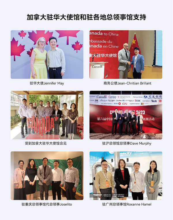 中国整木网